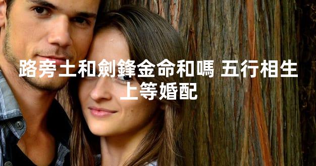 路旁土和劍鋒金命和嗎 五行相生上等婚配